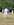 30 May 2026 BP V Cavs BPs hardest man goes out to bat