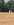 18 July 2026 v Cavs batting